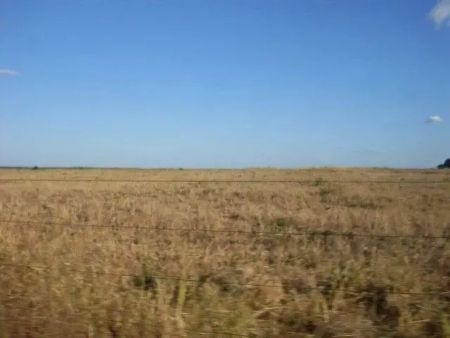 Imagem 1: Fazenda À Venda, 2 Quartos, Centro - Ribeirão Cascalheira/Mt