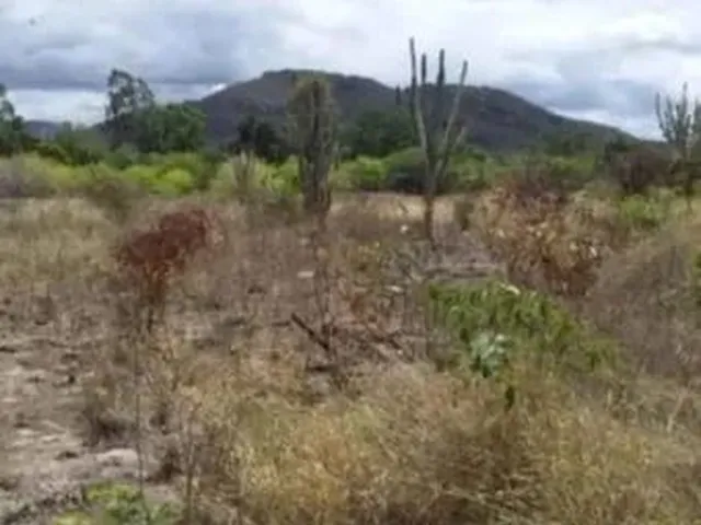 Imagem: Terreno em Iaçu Ba. Rio Paraguaçu