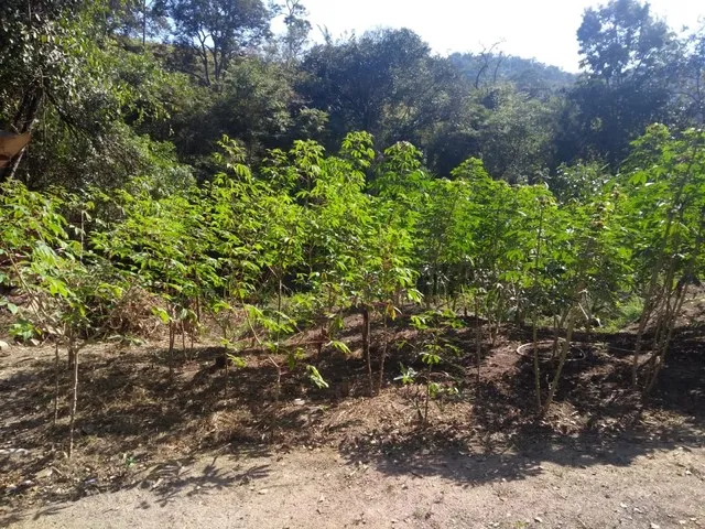 Imagem 8: Sitio 15 Ha - Bonfim - Divisa com Brumadinho