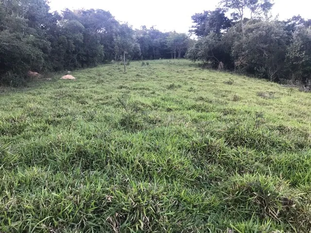 Imagem 10: Sitio 15 Ha - Bonfim - Divisa com Brumadinho