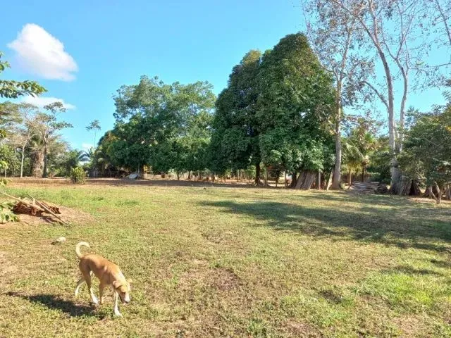 Imagem 16: 2 Chácaras Conjugadas no Ramal do Cacau
