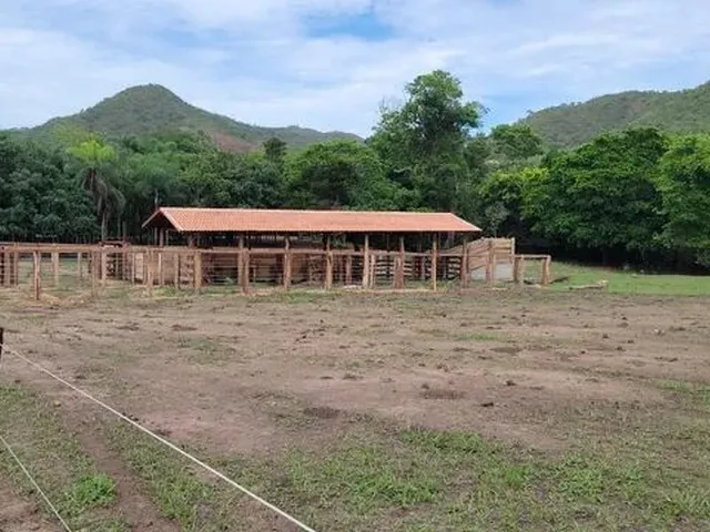 Imagem: Fazenda 19 Alqueires em Palmeirópolis To
