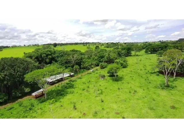 Imagem: Sitio a 26Km de Campo Grande