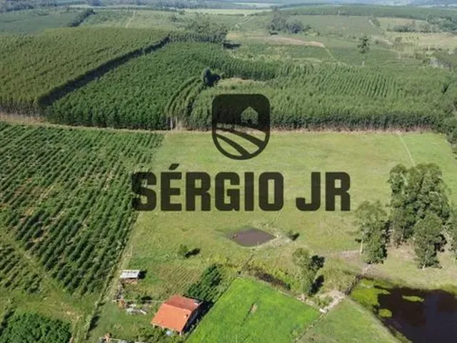 Imagem: Sítio com 2,2H, Galpão e Açude em Triunfo