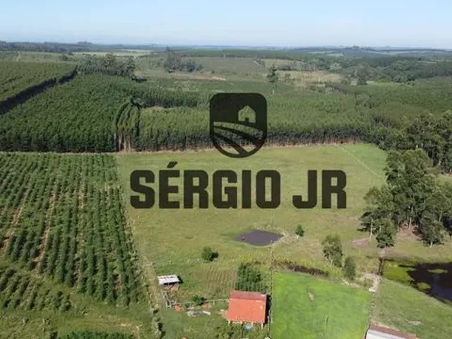 Imagem 3: Sítio com 2,2H, Galpão e Açude em Triunfo