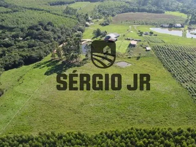 Imagem 5: Sítio com 2,2H, Galpão e Açude em Triunfo