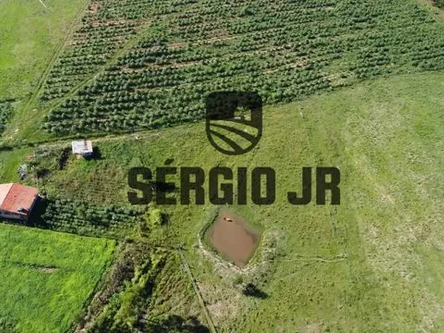 Imagem 7: Sítio com 2,2H, Galpão e Açude em Triunfo