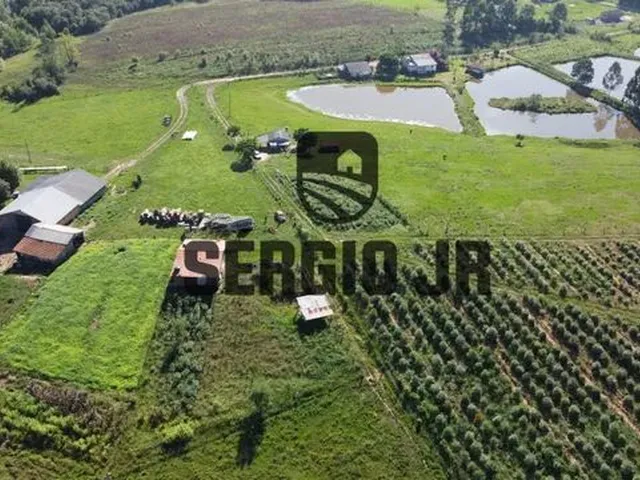Imagem 9: Sítio com 2,2H, Galpão e Açude em Triunfo