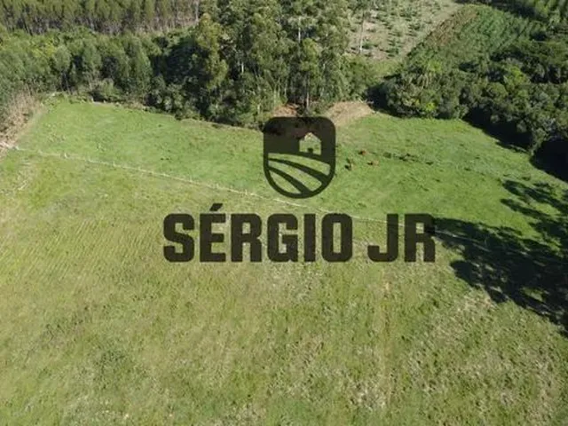 Imagem 11: Sítio com 2,2H, Galpão e Açude em Triunfo