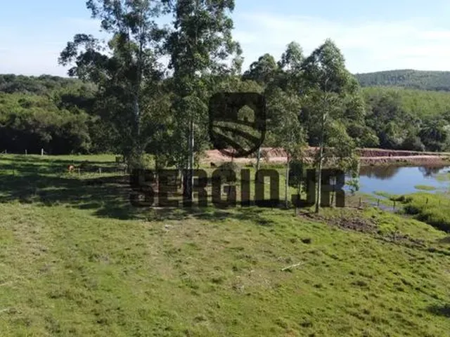 Imagem 13: Sítio com 2,2H, Galpão e Açude em Triunfo
