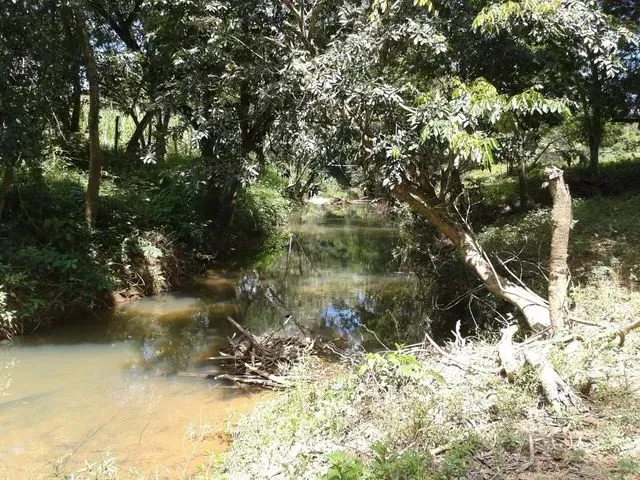 Imagem: Fazenda 25,4 Hectares em Baldim