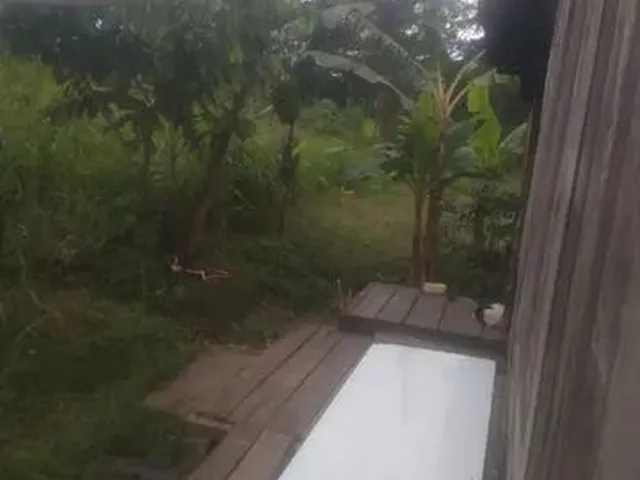 Imagem: Chácara no Pirapora Troco em Uma Casa