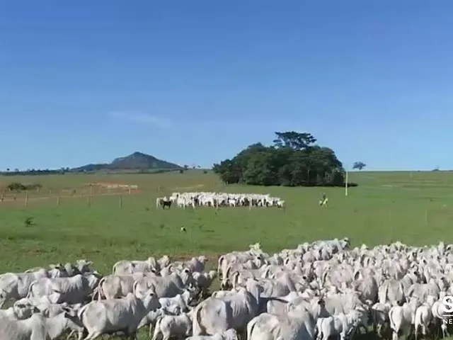 Imagem: FAZENDA A VENDA EXTRA CAIAPONIA GO