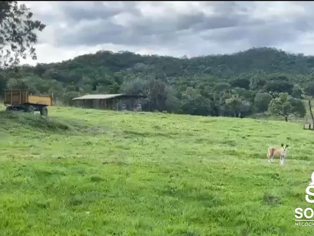 Imagem: Fazenda 97,63 hectares no município de