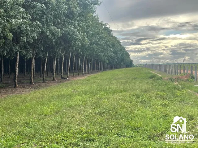 Imagem: A fazenda possui 3 Dormitórios, 1 Suíte, 3 Banheiros, 1 Vaga