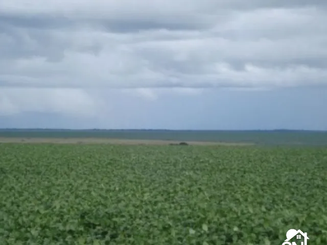 Imagem: Fazenda em Primavera do Leste- MT