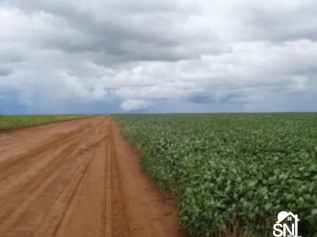 Imagem 12: Fazenda em Primavera do Leste- Mt