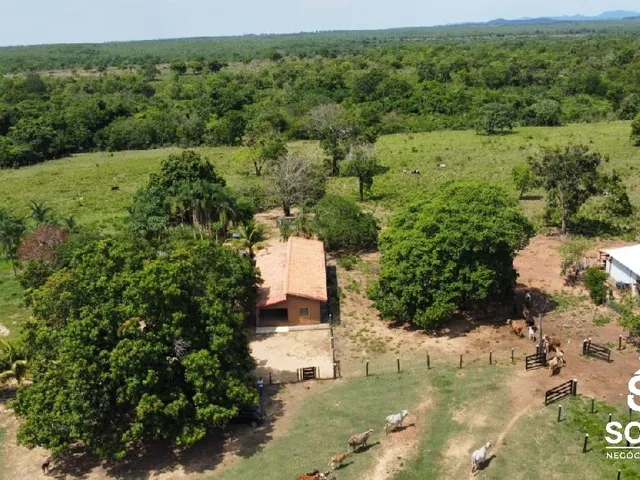 Imagem: A fazenda possui 3 Dormitórios, 2 Banheiros, 1.422m² de Área