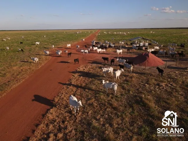 Imagem: Fazenda 33 mil há na região de Porto Alegre
