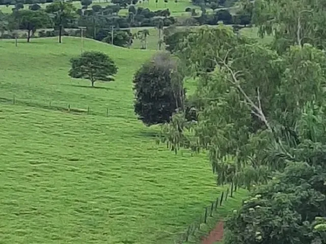 Imagem: A fazenda possui 3 Dormitórios, 2 Banheiros e está localizado