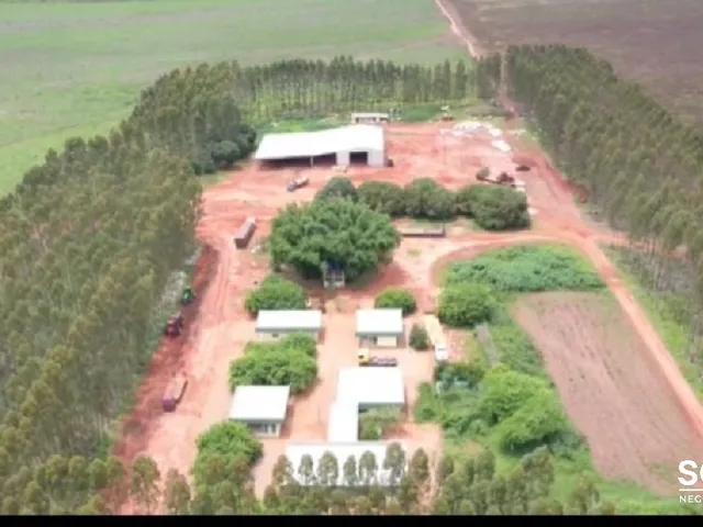 Imagem: FAZENDA A VENDA A 70 KM DE PRIMAVERA DO