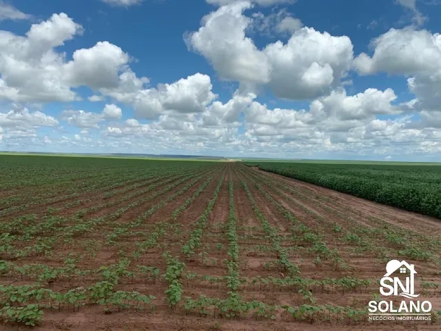 Imagem 5: Fazenda a Venda a 70 Km de Primavera do Leste Mt