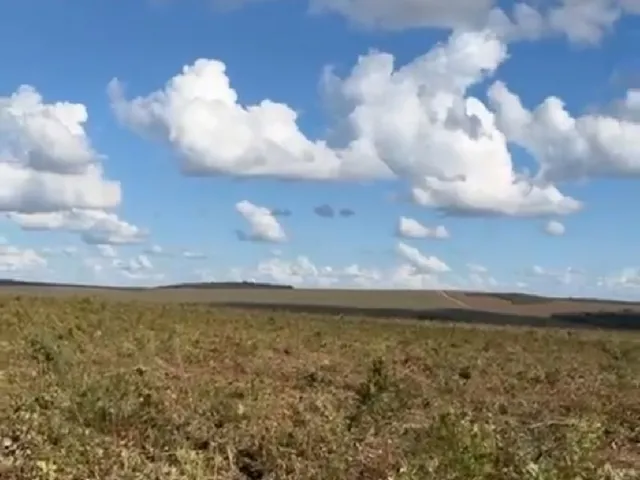 Imagem: Fazenda a Venda Região Paranatinga - MT