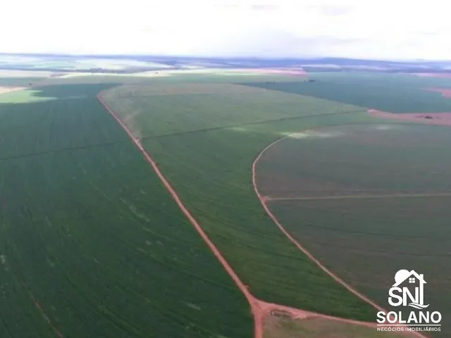 Imagem 4: Fazenda a Venda Município: Entre Paredão e Primavera - Mt