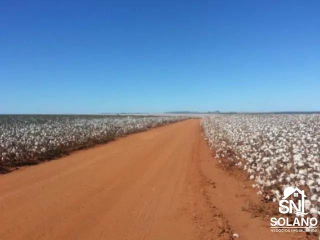 Imagem 3: Fazenda a Venda Município: Entre Paredão e Primavera - Mt
