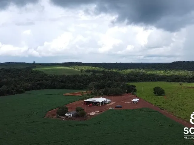 Imagem: Vendo Fazenda de Agricultura Primavera do