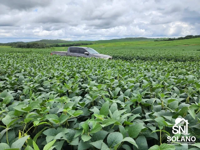 Imagem 5: Vendo Fazenda de Agricultura Primavera do Leste/Mt