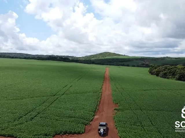 Imagem 8: Vendo Fazenda de Agricultura Primavera do Leste/Mt