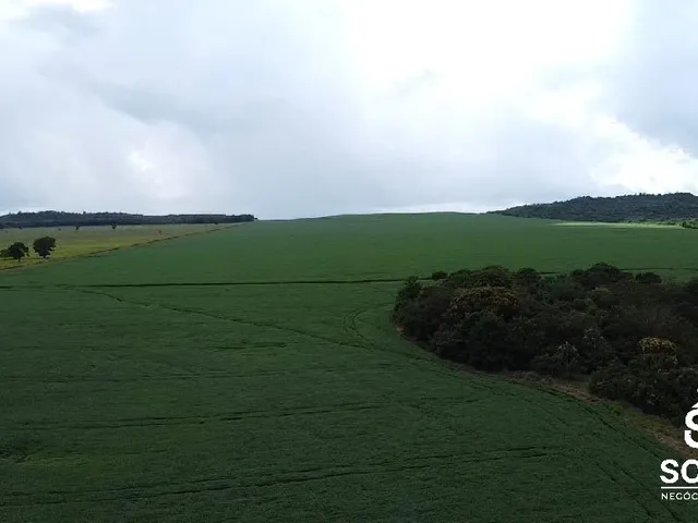 Imagem 7: Vendo Fazenda de Agricultura Primavera do Leste/Mt