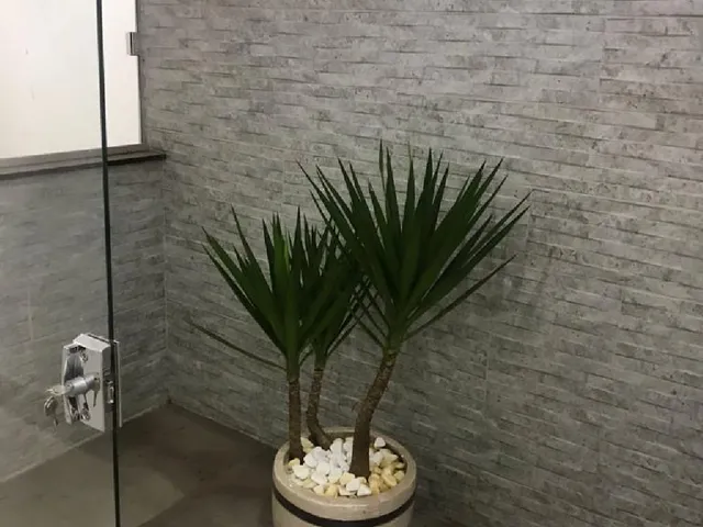 Imagem 7: Belíssima Casa a Venda no Jardim Atlântico Próximo Ao Parque Cascavel