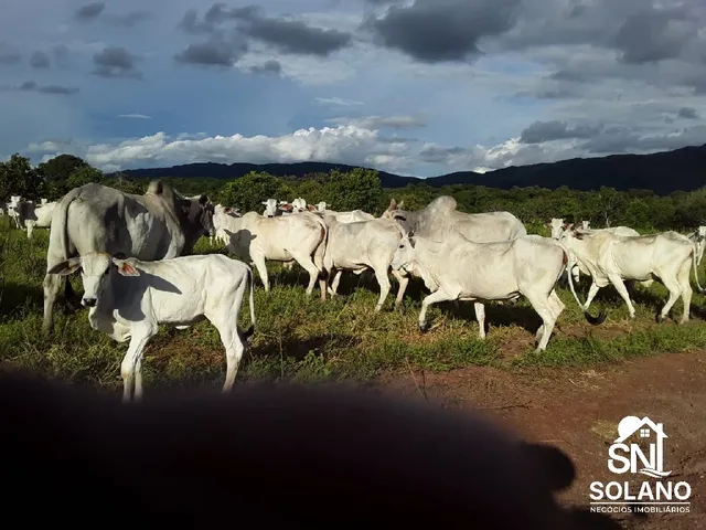 Imagem: FAZENDA EM BARRA DO BUGRES MT
