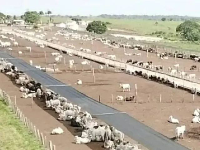 Imagem: BELÍSSIMA FAZENDA NO NORTE DO PARA