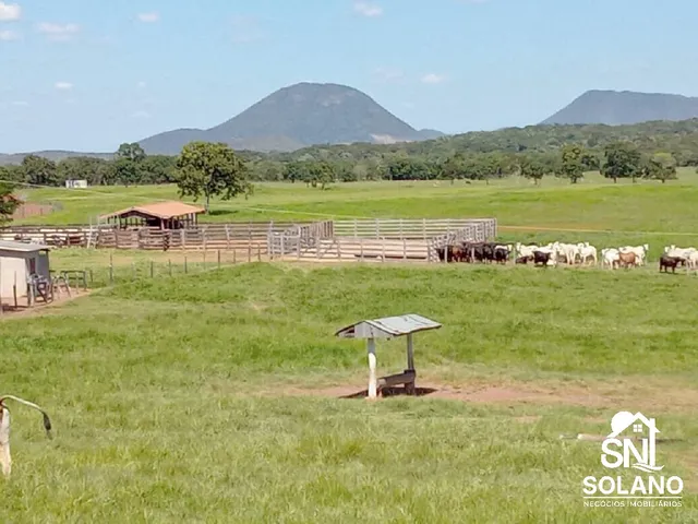 Imagem: Fazenda 1.240 hectares Município rosário