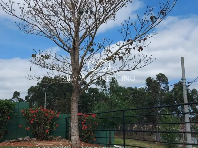 Imagem 5: Terreno de 630M² em Condomínio no Centro de Taubaté-Sp: a Oportunidade Que Você Estava Procurando!