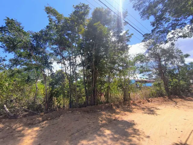 Imagem: Terreno para Venda em Saquarema, Jardim