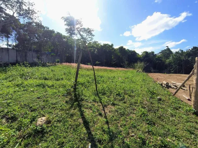 Imagem 5: Terreno para Venda em Saquarema, Jardim