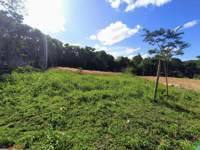 Imagem 6: Terreno para Venda em Saquarema, Jardim