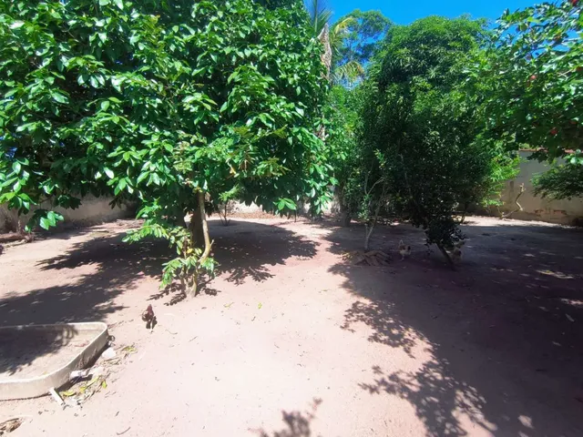 Imagem 13: Casa À Venda em Ipitangas!