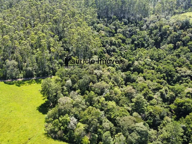 Imagem 9: Sítio Vale dos Sonhos, com 6,7 Hectares, a 1300Metros da Igreja da Paleta, 2Km do Centro de Mirim Doce e 10Km de Taió