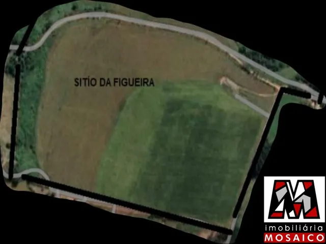 Imagem: Sitio com Ótima Topografia, Bairro Pedregulho