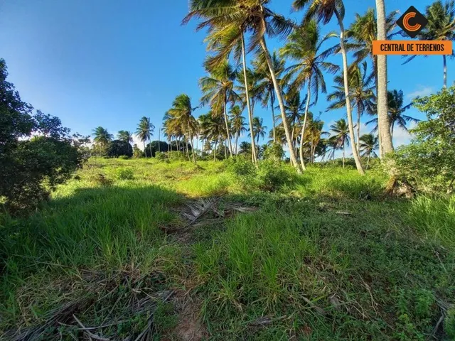 Imagem 3: TERRENO EM BARRA DO JACUIPE ? CAMAÇARI