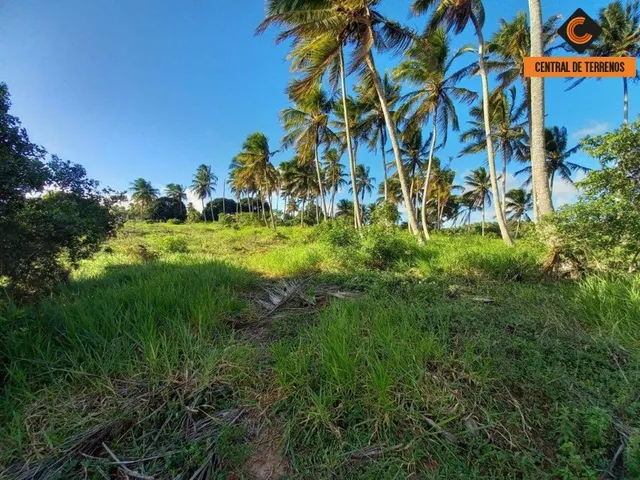 Imagem 8: TERRENO EM BARRA DO JACUIPE ? CAMAÇARI
