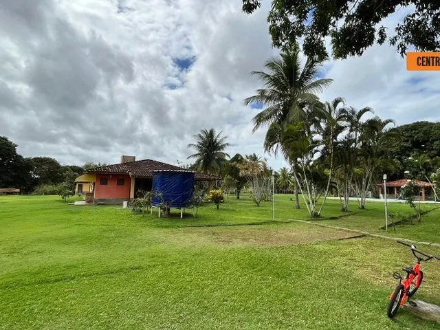 Imagem 5: Sítio em Cajazeiras de Abrantes