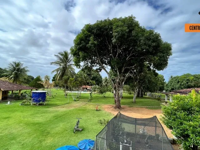 Imagem 8: Sítio em Cajazeiras de Abrantes