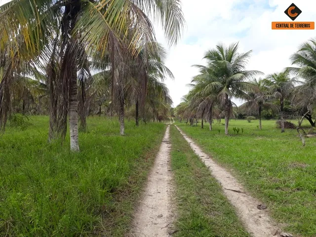 Imagem: TERRENO NO PARQUE REAL SERRA VERDE