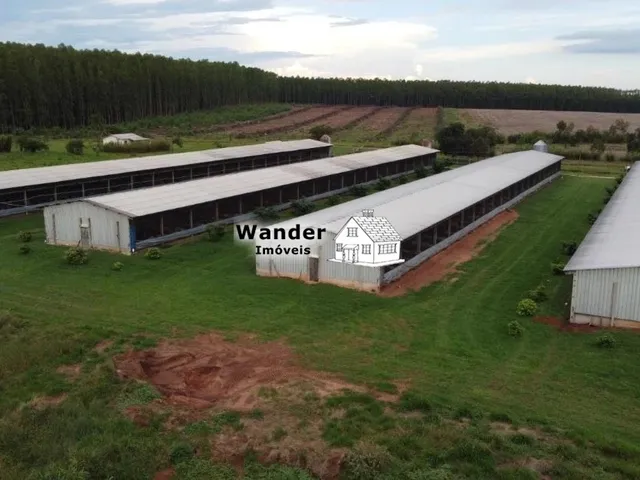 Imagem 2: FAZENDA RURAL em SÃO GABRIEL DO OESTE - MS, centro